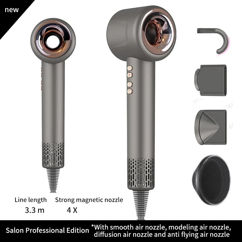 Professional Ionic Hair Dryer